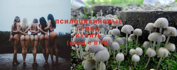 соль ск Абинск