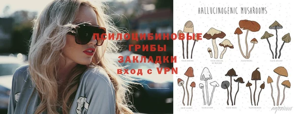 стафф Алексеевка