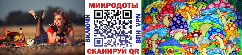Псилоцибиновые грибы прущие грибы  купить наркотик  сайты даркнета какой сайт  Шахты 